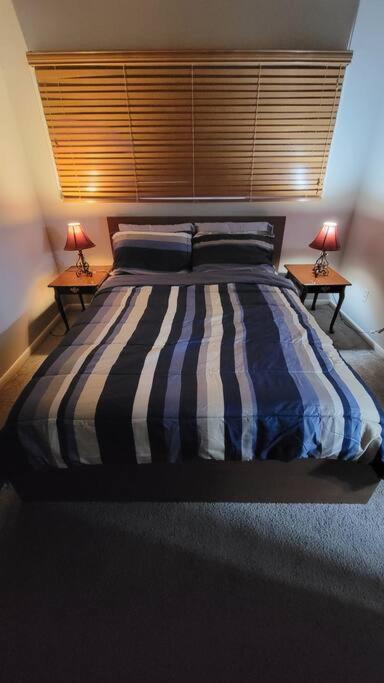 Entire One Bedroom Apartment Annandale Dış mekan fotoğraf