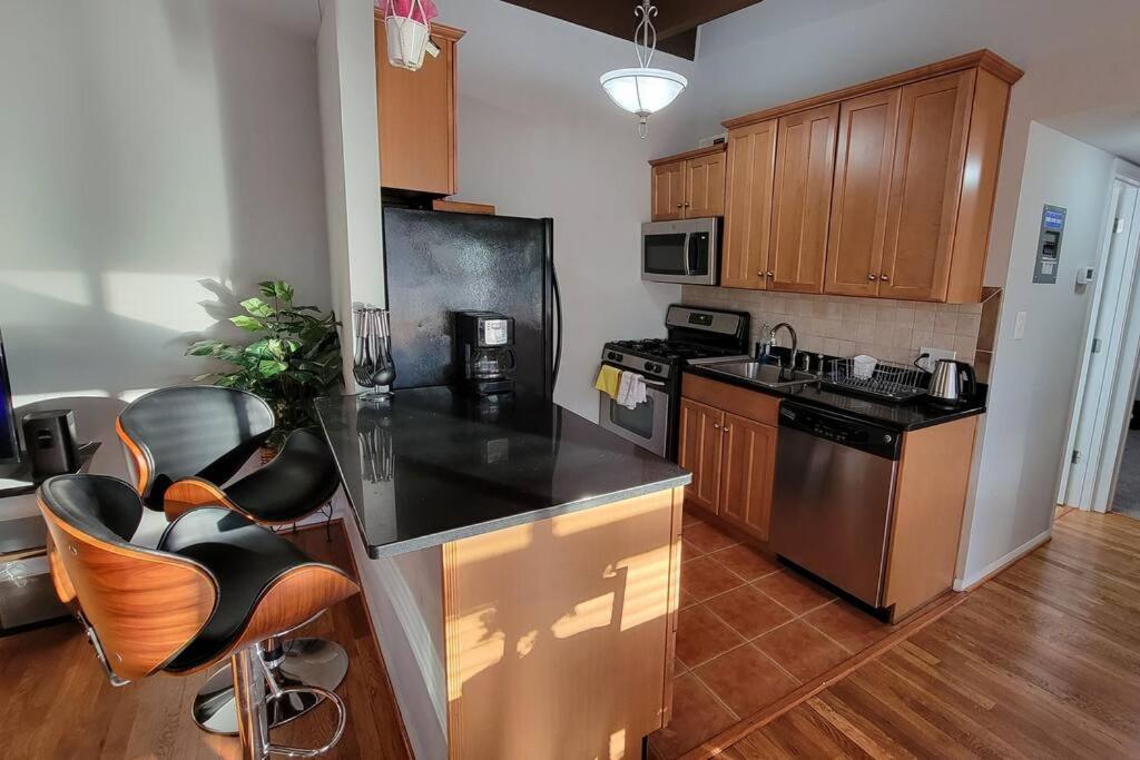 Entire One Bedroom Apartment Annandale Dış mekan fotoğraf