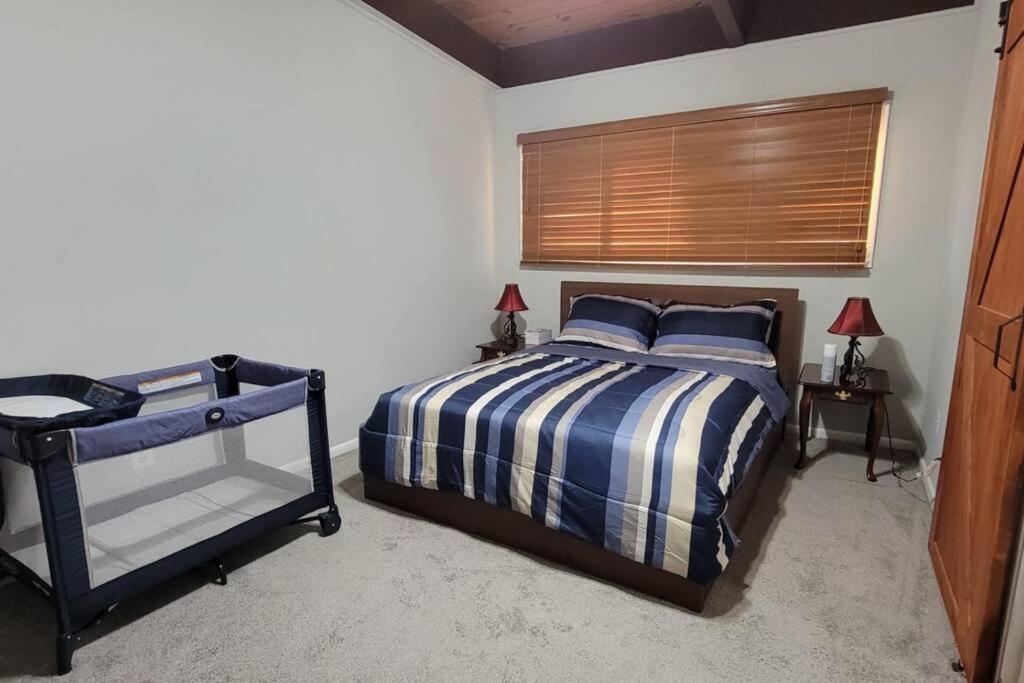 Entire One Bedroom Apartment Annandale Dış mekan fotoğraf