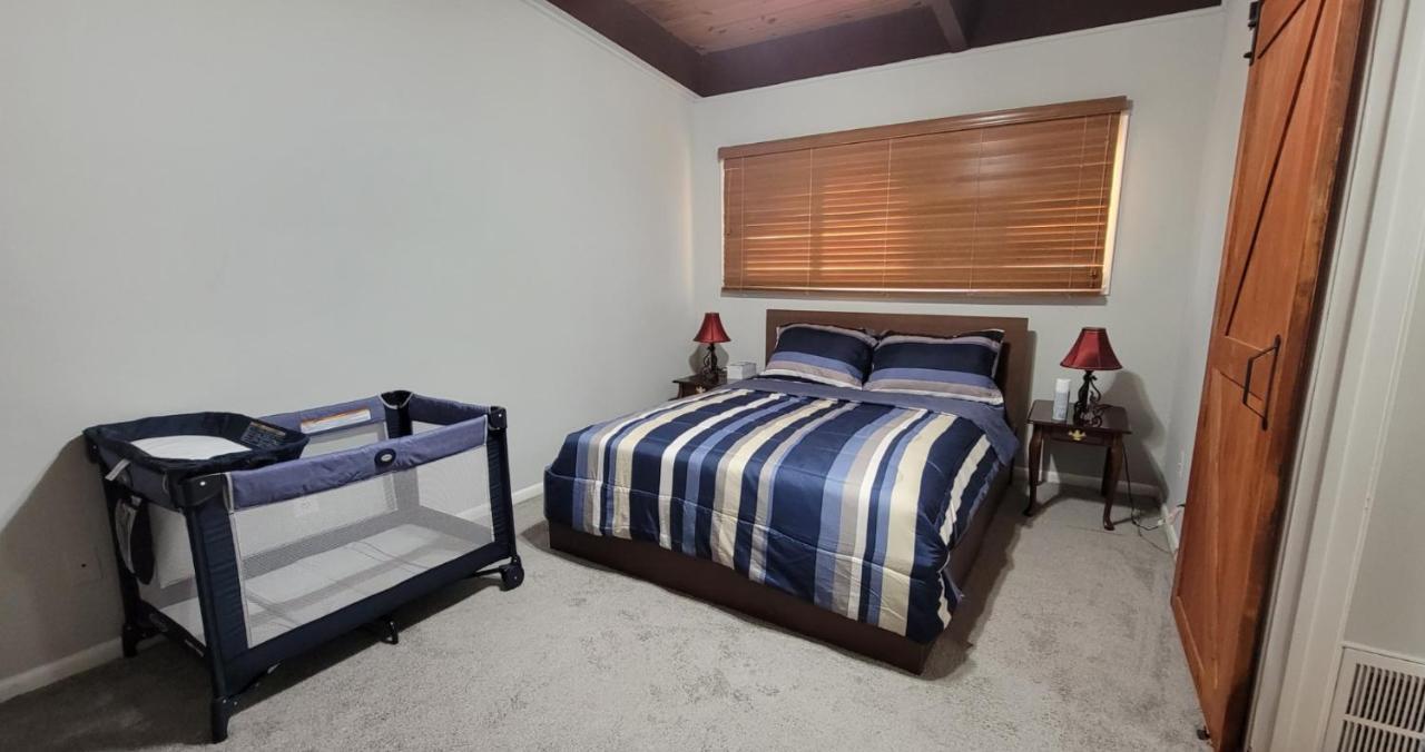 Entire One Bedroom Apartment Annandale Dış mekan fotoğraf