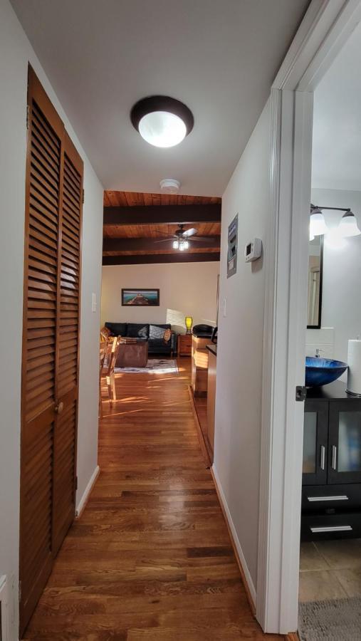 Entire One Bedroom Apartment Annandale Dış mekan fotoğraf