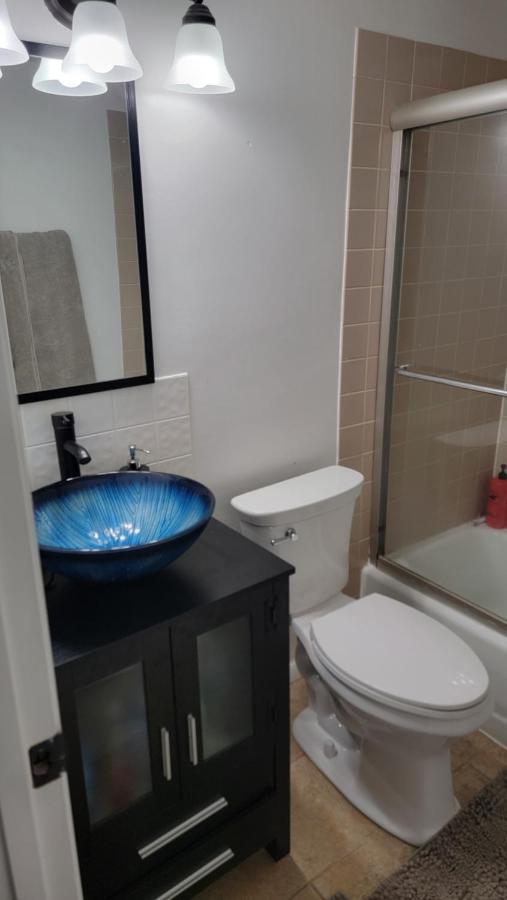 Entire One Bedroom Apartment Annandale Dış mekan fotoğraf